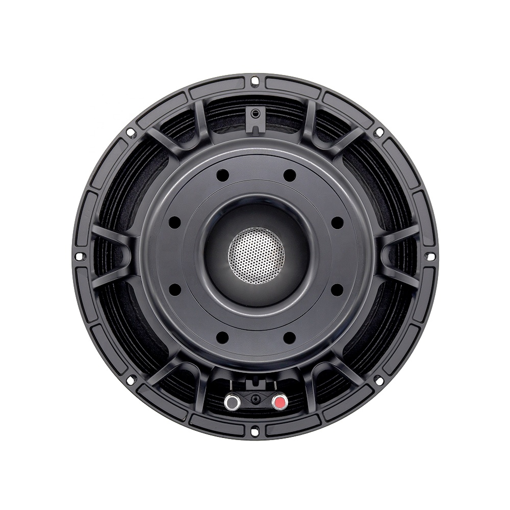 Audio & Music Settings Xbox One - 12DS Pro Audio Equipment 12'' Speaker
